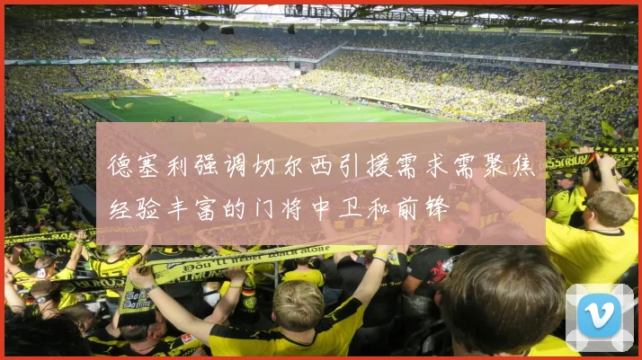德塞利强调切尔西引援需求需聚焦经验丰富的门将中卫和前锋